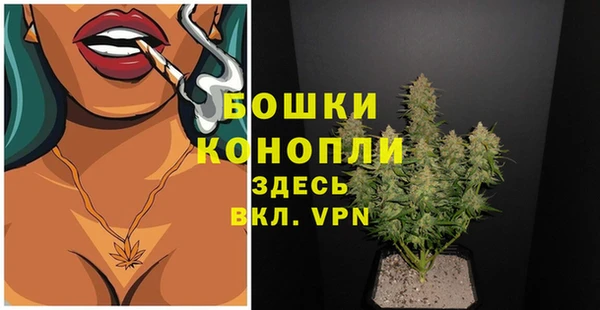 прущие грибы Нязепетровск