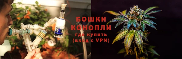 прущие грибы Нязепетровск