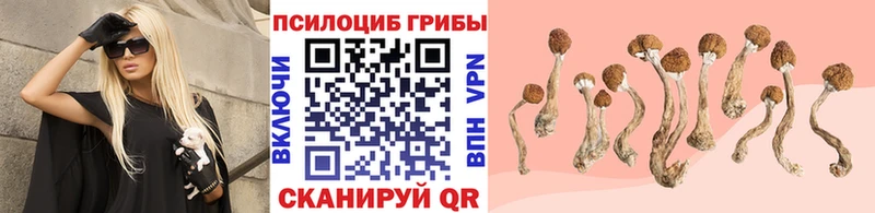 Псилоцибиновые грибы GOLDEN TEACHER  Зеленодольск 