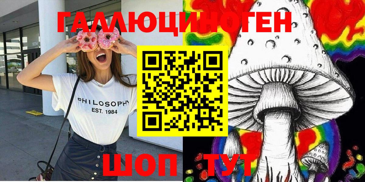 Галлюциногенные грибы Psilocybe Зеленодольск