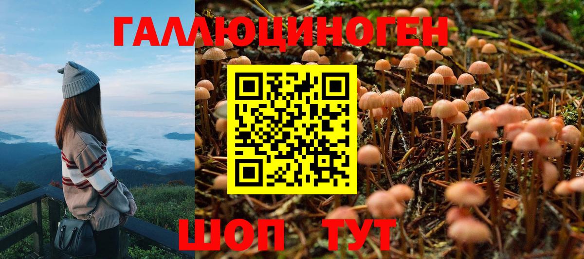 Псилоцибиновые грибы GOLDEN TEACHER  Вход с VPN  Зеленодольск 